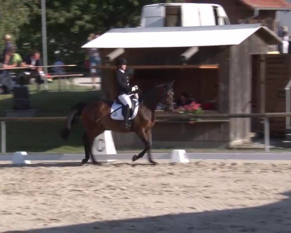 Reitturnier Großbardorf/Ufr. 2024