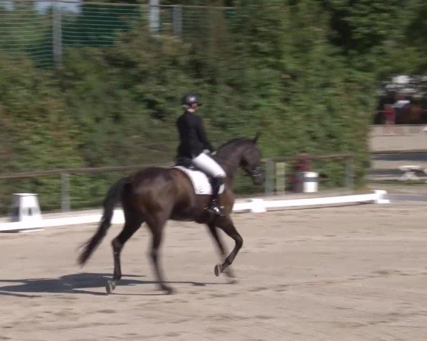 Reitturnier Großbardorf/Ufr. 2024