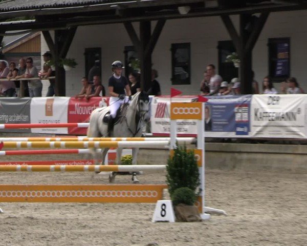 Reitturnier Solingen 2024