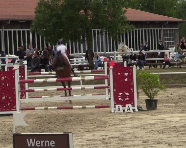 Reitturnier Werne 2024