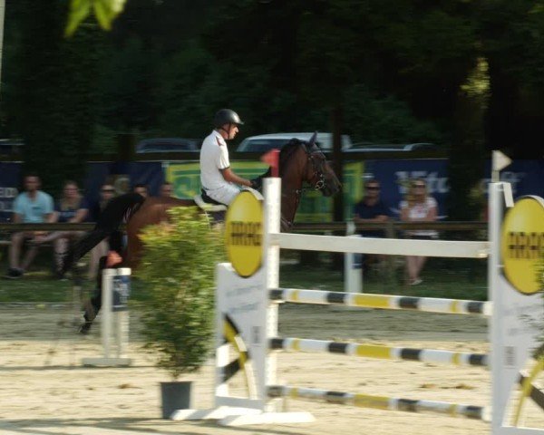 Reitturnier Walldorf/Winterheck 2024