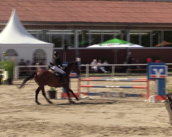 Reitturnier Werne 2024
