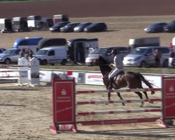 Reitturnier Duderstadt 2024