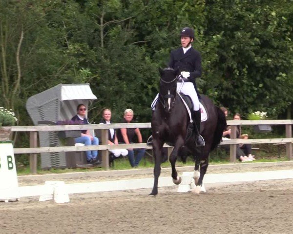 Reitturnier Kleinsolter Turniertage 2024