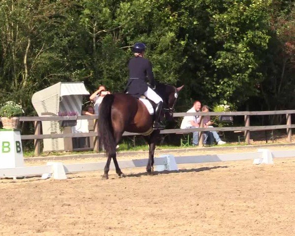 Reitturnier Kleinsolter Turniertage 2024