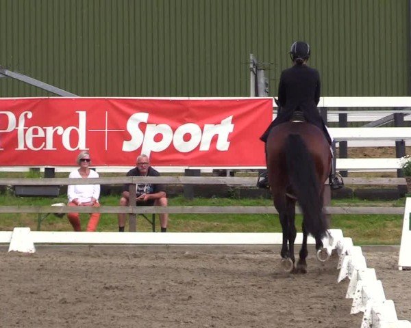 Reitturnier Kleinsolter Turniertage 2024