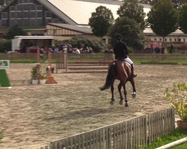 Reitturnier Schülp / Rendsburg 2021