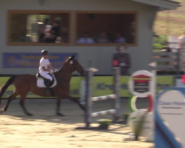 Reitturnier Duderstadt 2024
