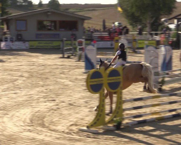 Reitturnier Duderstadt 2024