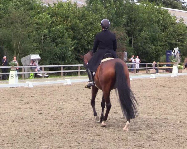 Reitturnier Kleinsolter Turniertage 2024