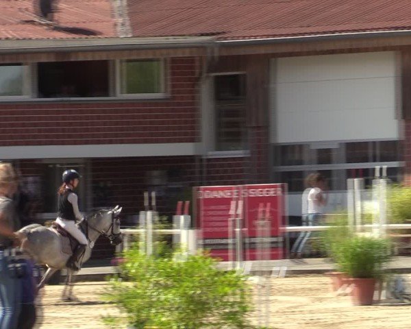 Reitturnier Werne 2024
