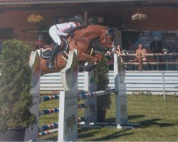 jumper Hickstead's Moon Kw (Hanoverian, 2018, from HICKSTEAD WHITE)