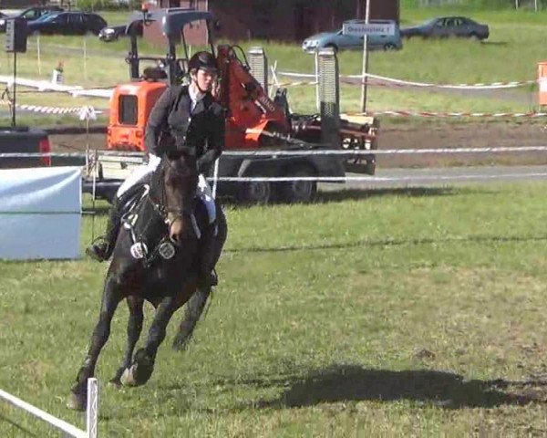 Reitturnier Rendsburg 2013