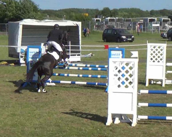 Nord-Ost-Pferd 2013