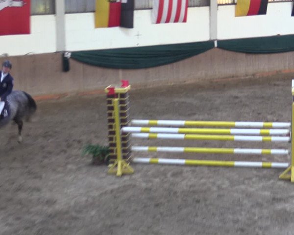 Reitturnier Wollersleben 2021