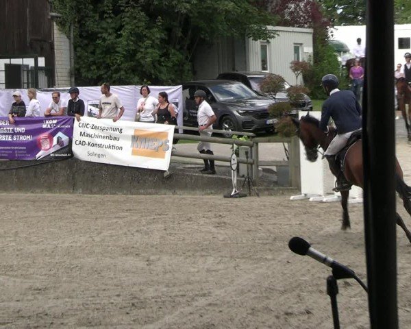 Reitturnier Solingen 2024