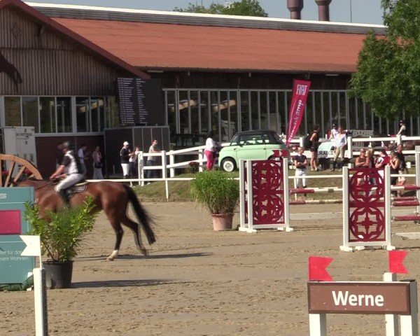 Reitturnier Werne 2024