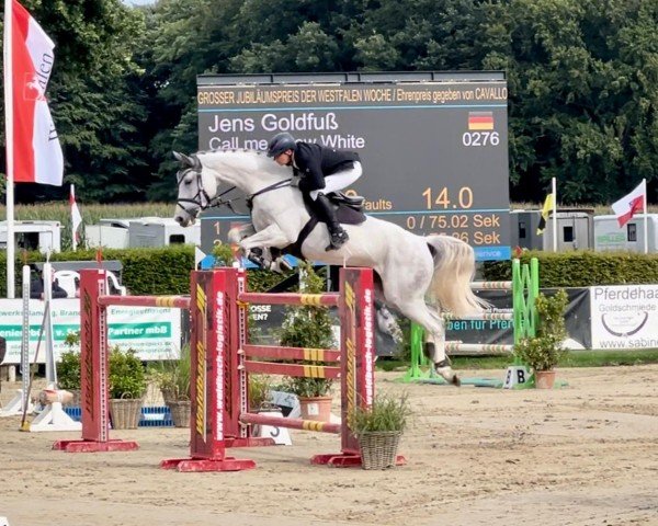 jumper Call Me Snow White (Westphalian, 2016, from Cristallo I)