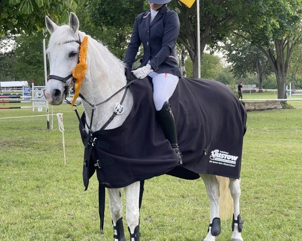 broodmare Halina 47 (German Riding Pony, 2007, from Honeymoon Star)