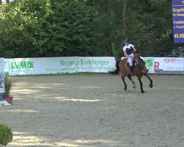 Reitturnier Sieversen - Rosengarten 2024