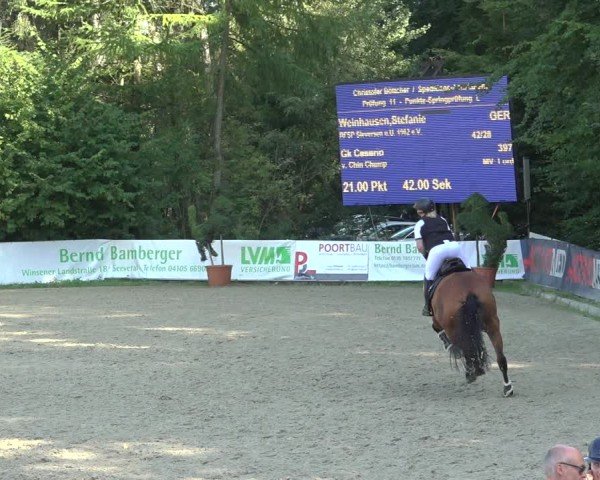 Reitturnier Sieversen - Rosengarten 2024