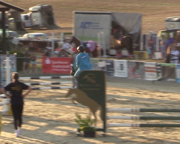 Reitturnier Duderstadt 2024