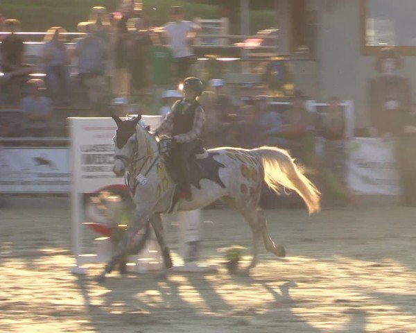 Reitturnier Duderstadt 2024