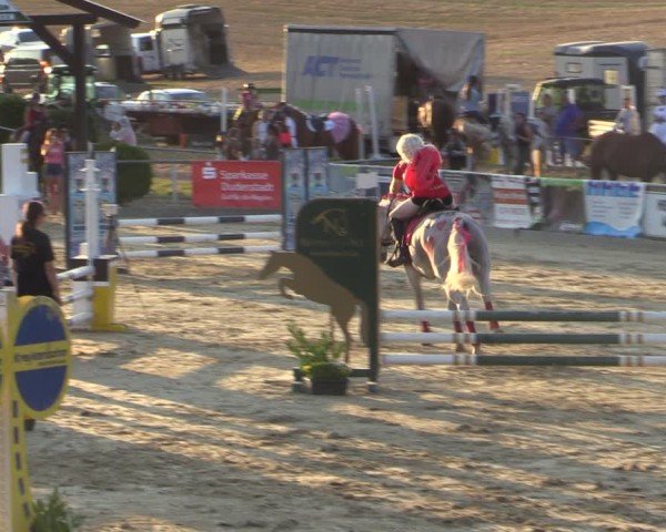 Reitturnier Duderstadt 2024