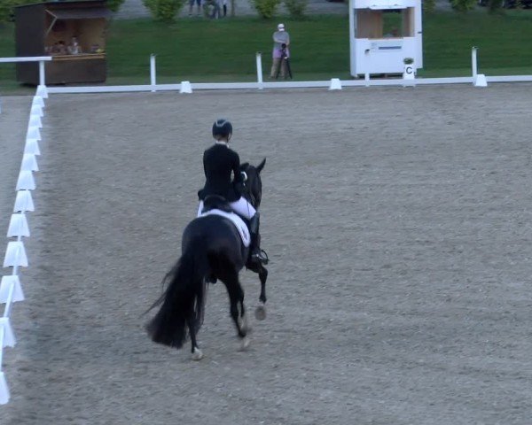 Reitturnier Bülach 2024