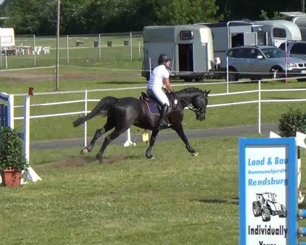 Nord-Ost-Pferd 2013