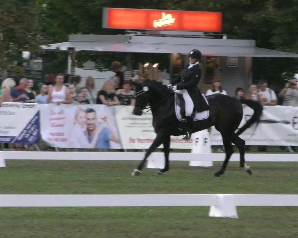 Reitturnier Aschersleben 2024