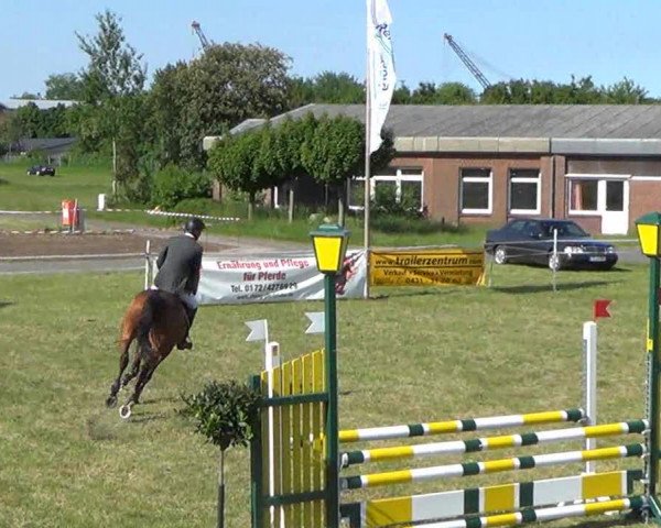 Nord-Ost-Pferd 2013