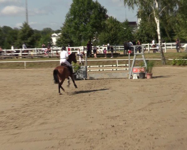 Reitturnier Werne 2024