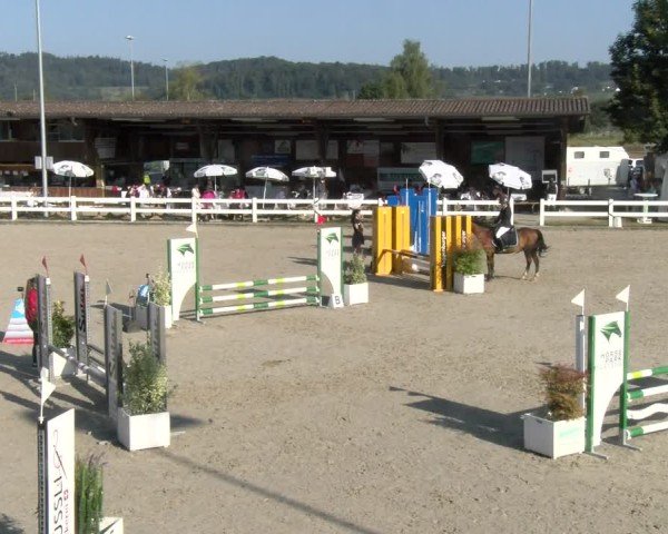 Reitturnier Hüntwangen 2024