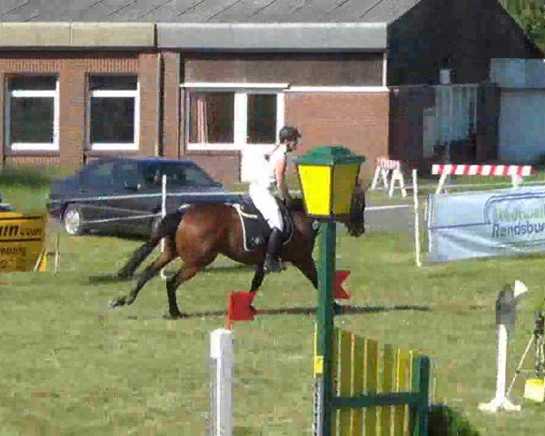 Nord-Ost-Pferd 2013