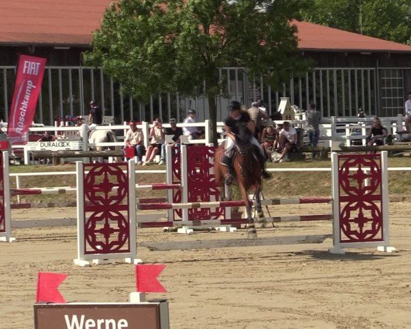 Reitturnier Werne 2024