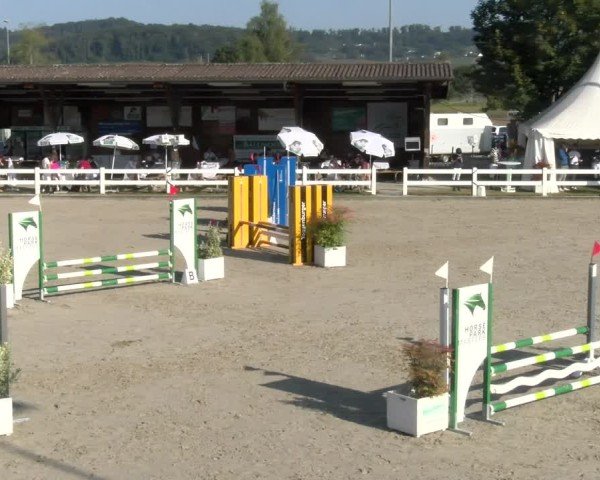 Reitturnier Hüntwangen 2024