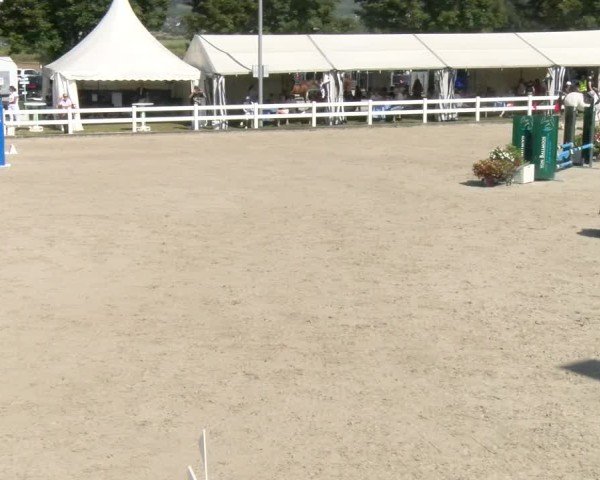 Reitturnier Hüntwangen 2024