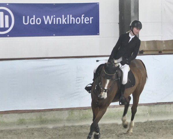Reitturnier Karlsfeld/Obb. 2021