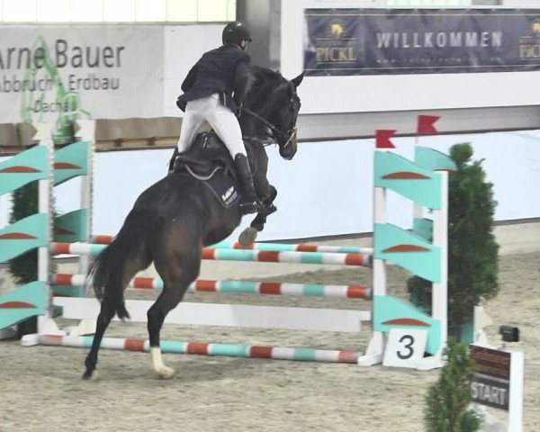 Reitturnier Karlsfeld/Obb. 2021