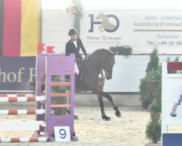 Reitturnier Karlsfeld/Obb. 2021