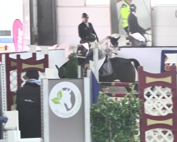 Reitturnier Karlsfeld/Obb. 2021