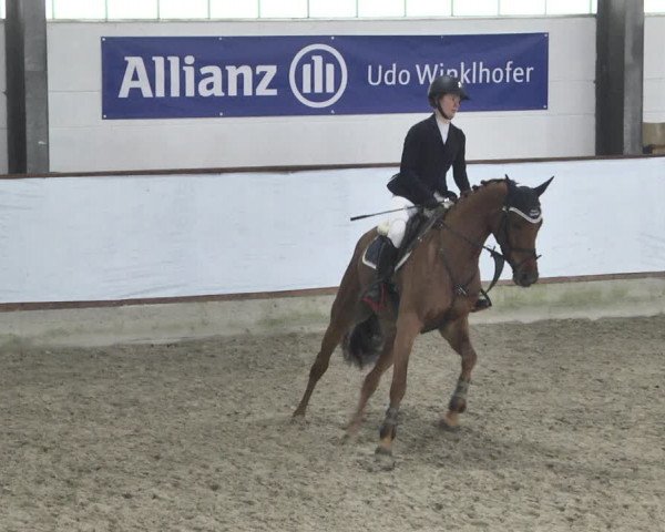 Reitturnier Karlsfeld/Obb. 2021