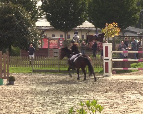 Reitturnier Schülp / Rendsburg 2021