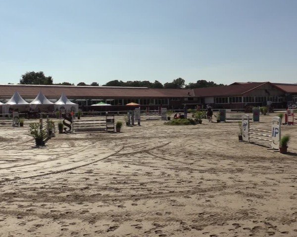 Reitturnier Werne 2024