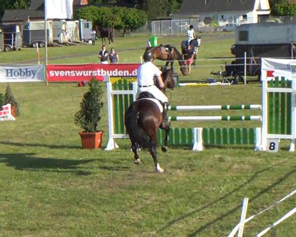 Nord-Ost-Pferd 2013