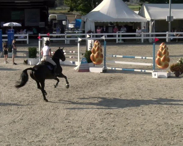 Reitturnier Hüntwangen 2024