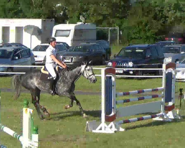 Nord-Ost-Pferd 2013