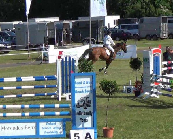 Nord-Ost-Pferd 2013