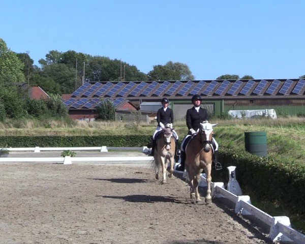 Reitturnier Werne 2024